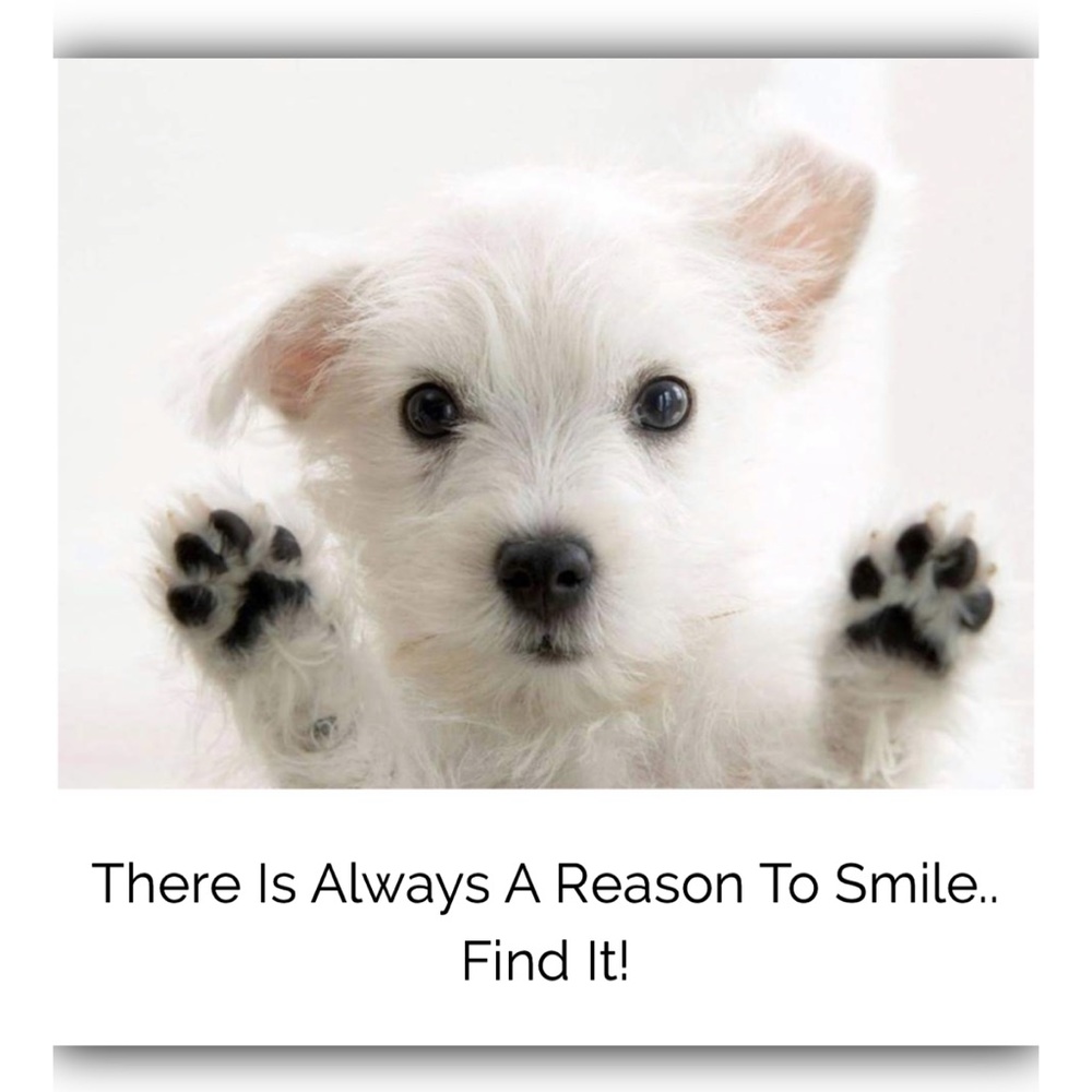 A Warm Smile Is The Universal Language Of Kindness